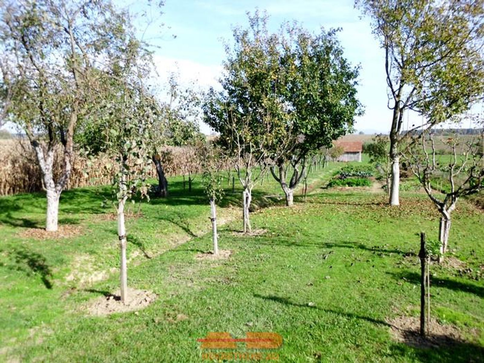 Namještena kuća + mala farma + okućnica! — fotografija 5