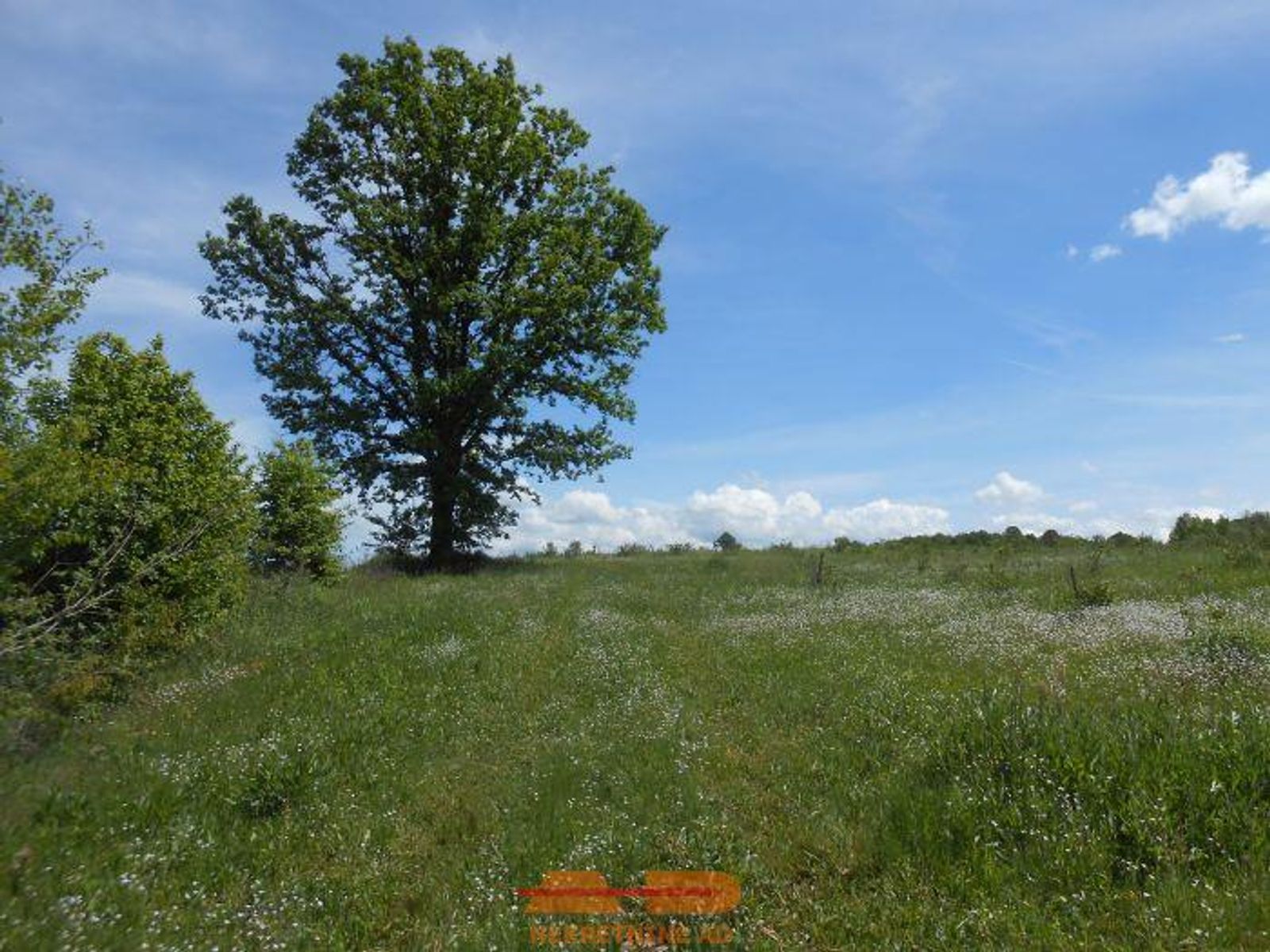 Nasad aronije i oranica, 16500 m2, Šibovac! — fotografija 19