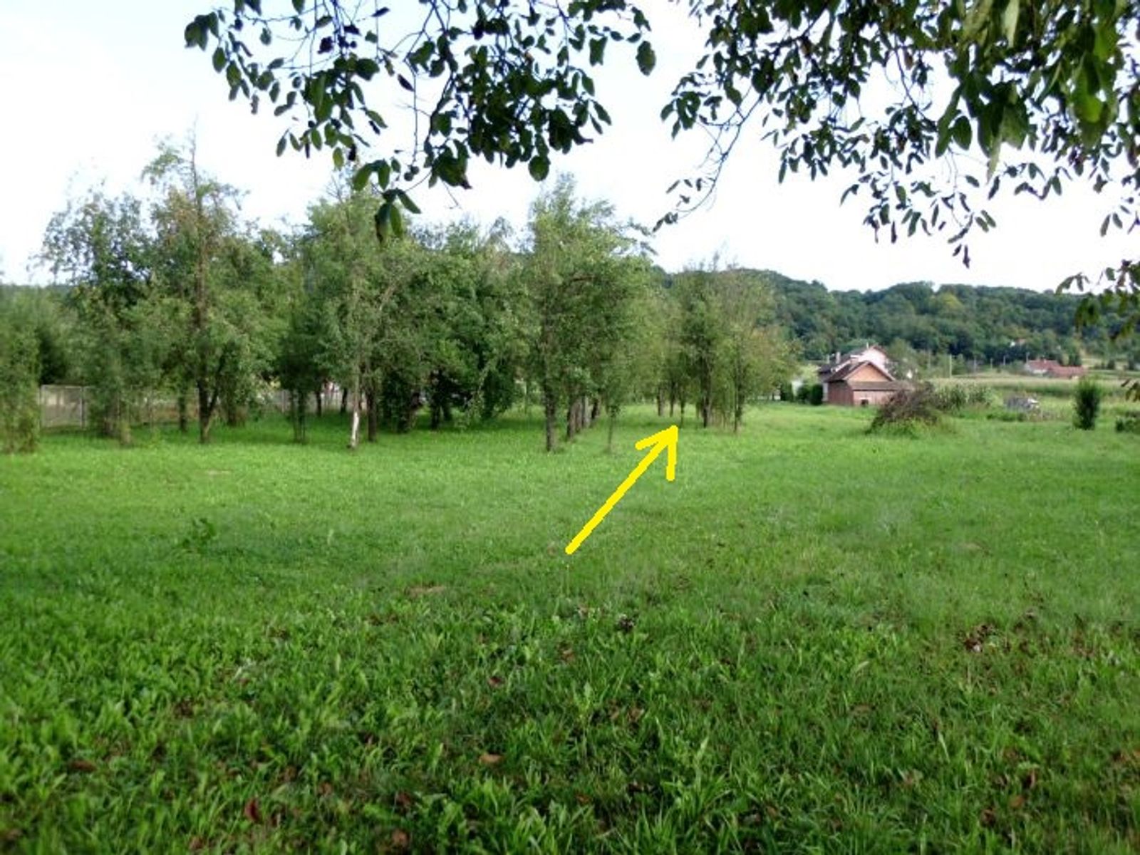 Kuća + dvor + gradilište, Sirač! — fotografija 7