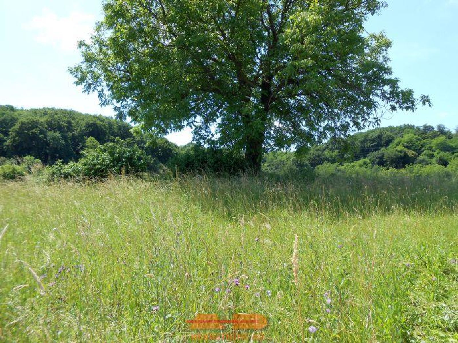 Zemljište 11.509 m2, uz ulicu, Dabrovac! — fotografija 11