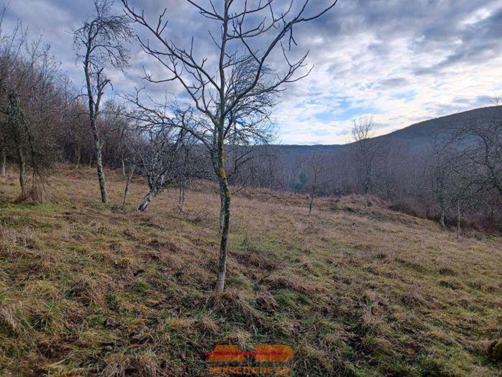 Zemljište 2834 m2, Vrbovac! — fotografija 8
