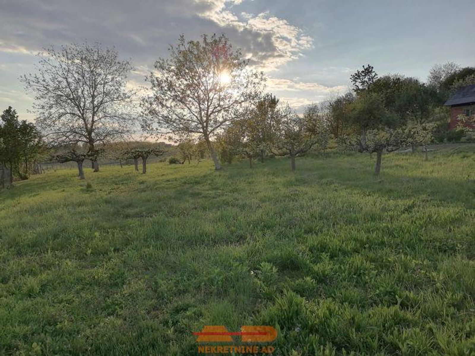 Gradilište, temelji, Građ. dozvola, voćnjak! — fotografija 4