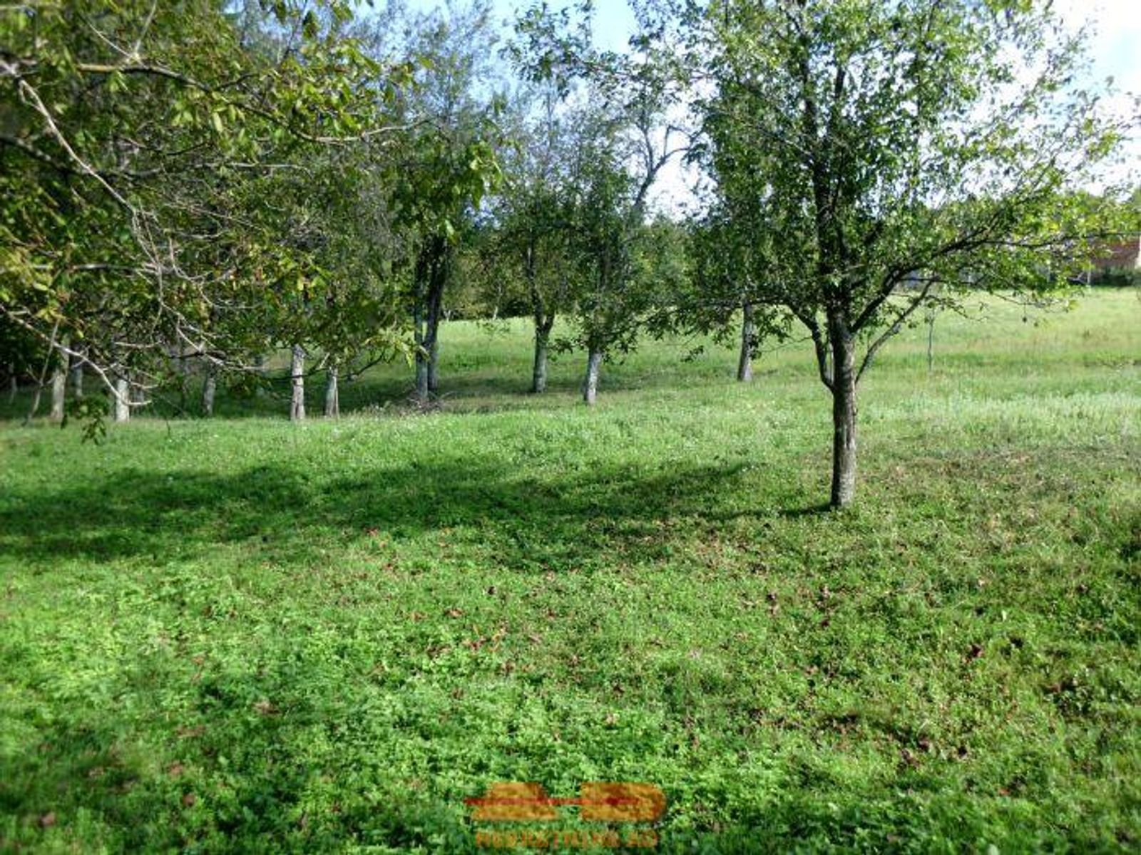 Kuća + farma + okućnica, u prirodi, Vrbovac! — fotografija 10