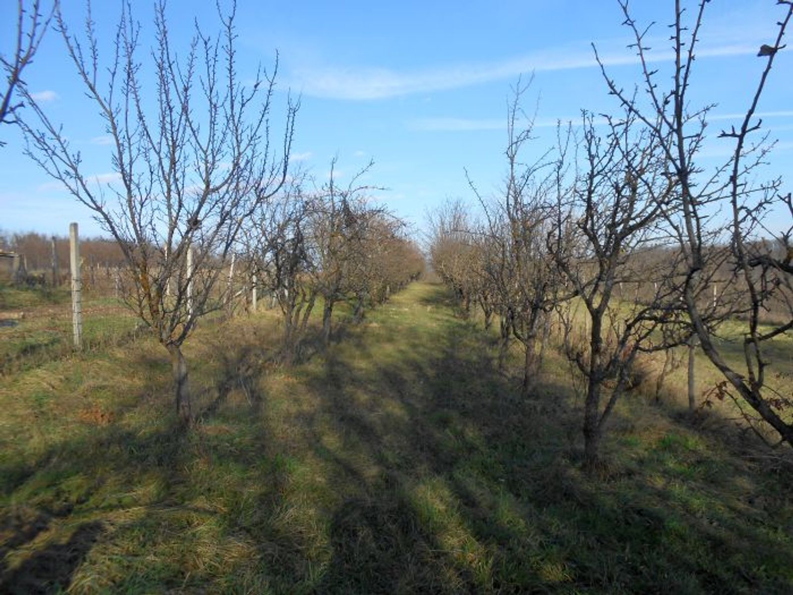 Kuća + dograđeni dio sa 2 stana, okućnica! — fotografija 29