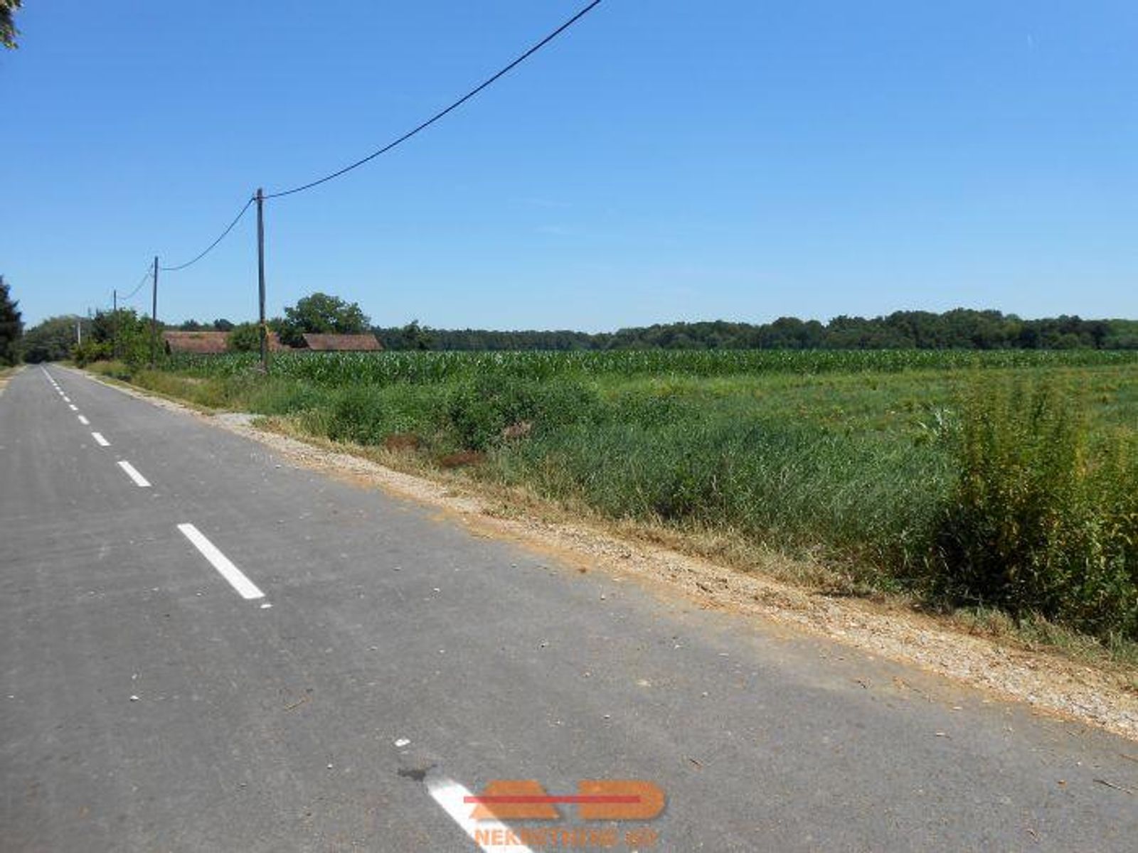 Plantaža lijeske na Borišu, moguća i gradnja!! — fotografija 2