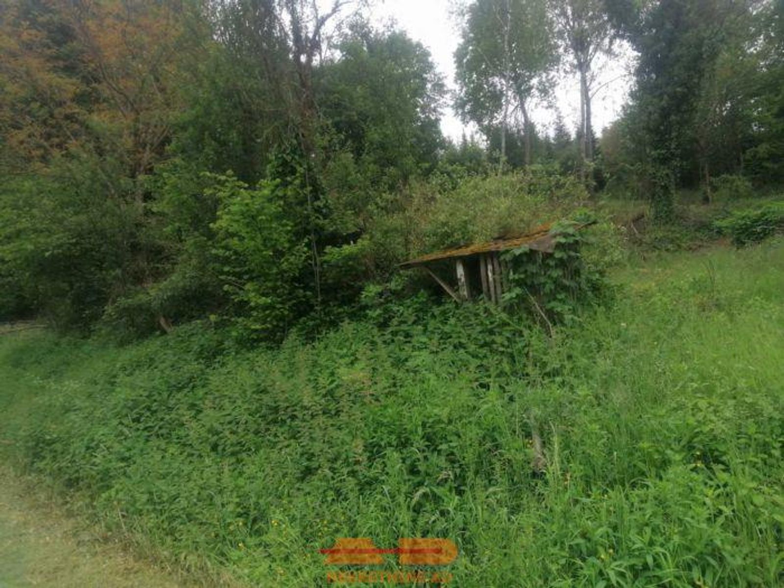 Građevinsko zemljište + okućnica, Rašenica! — fotografija 1
