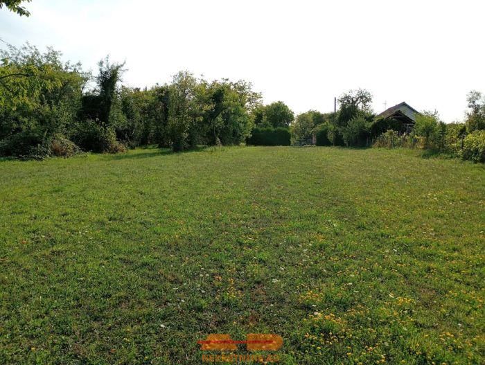 Zemljište 13335 m2, Kostanjevac!