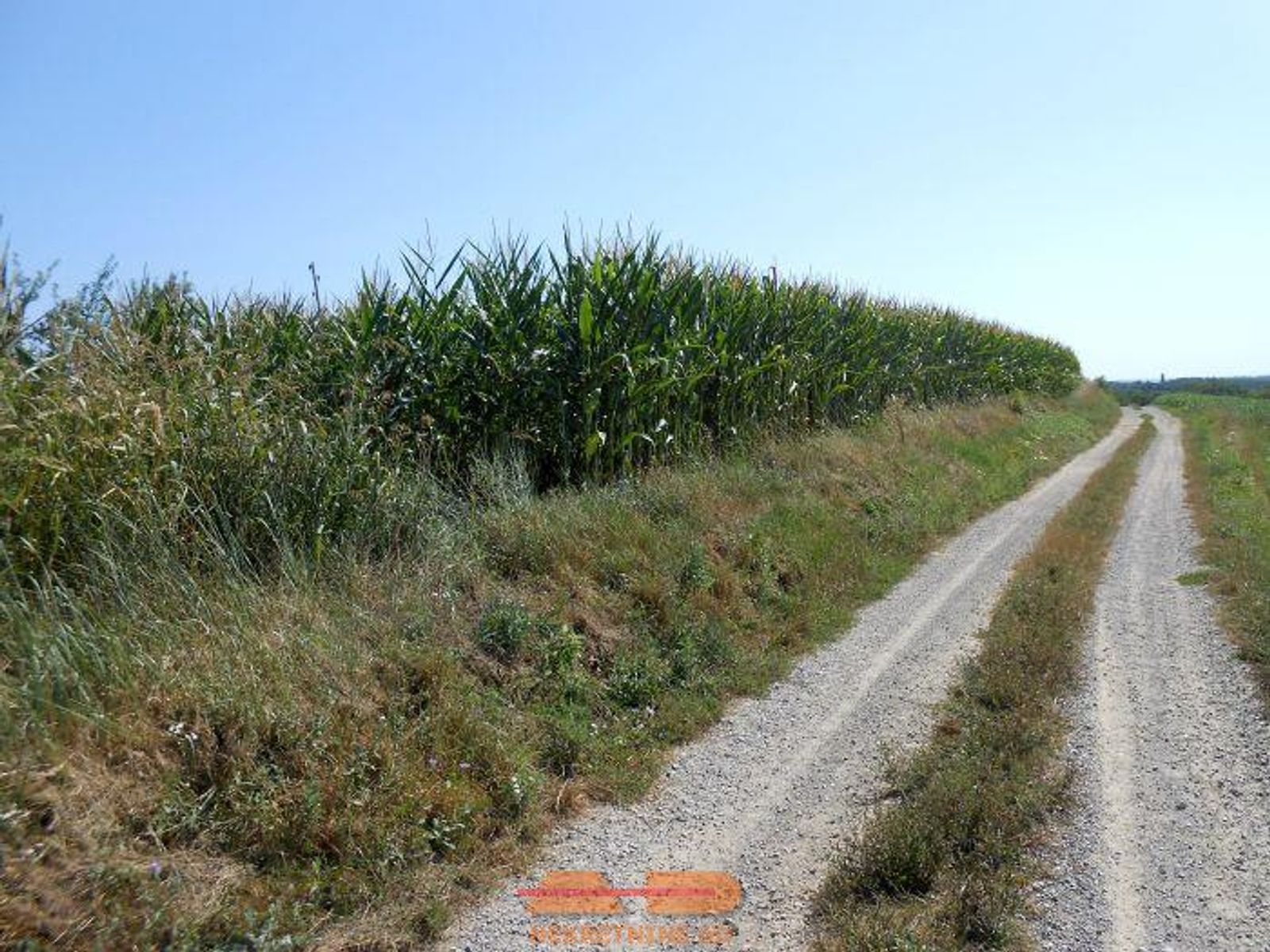 Održavana oranica, 6.830 m2, Šibovac! — fotografija 3