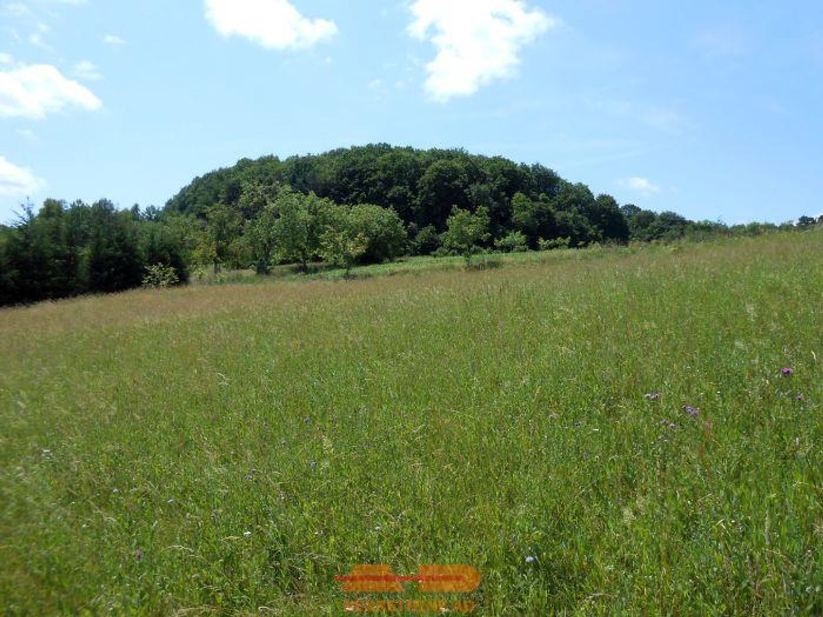 Zemljište 11.509 m2, uz ulicu, Dabrovac! — fotografija 4