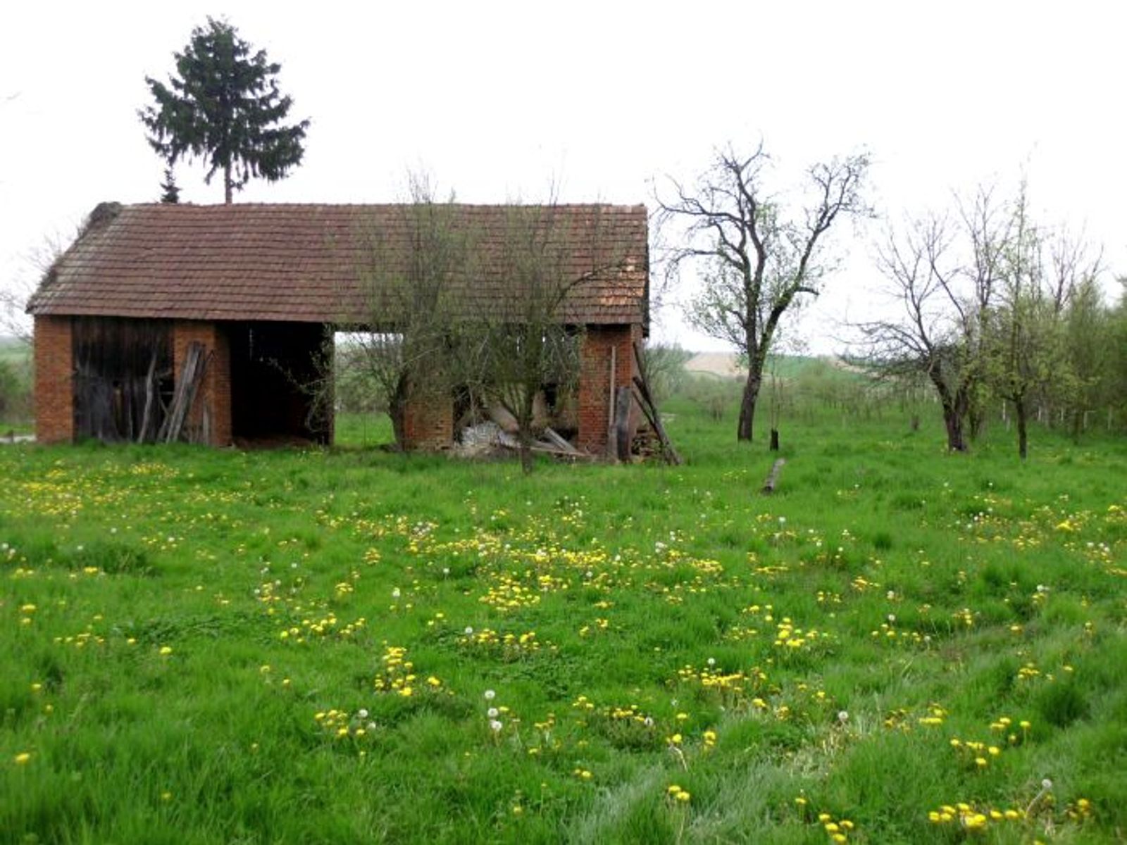 Starija kuća sa objektima, gradilište, V. Zdenci — fotografija 17