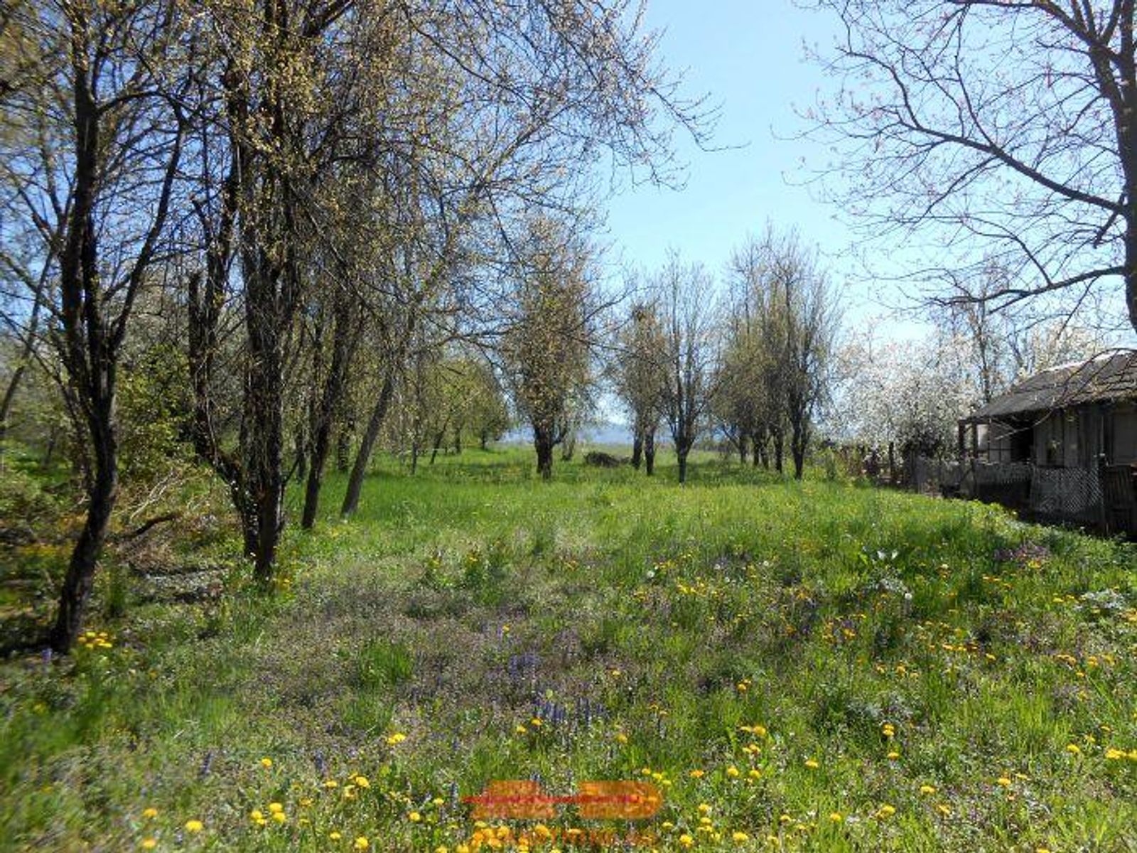 Kuća, objekti, dvorište, voćnjak, oranica! — fotografija 21