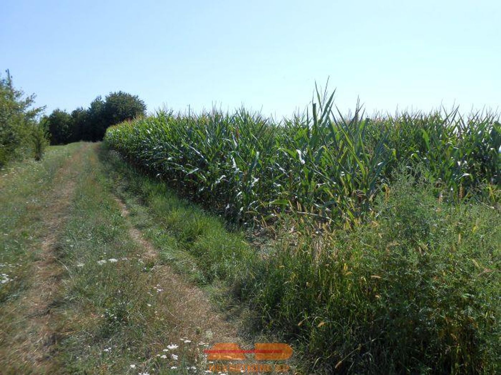 Održavana oranica, 6.830 m2, Šibovac! — fotografija 2