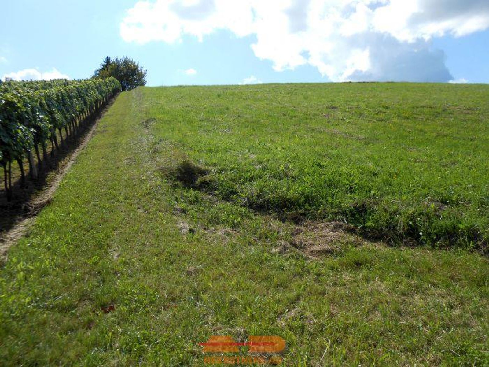 Zemljište u prirodi, prelijep pogled, Daruvar! — fotografija 11