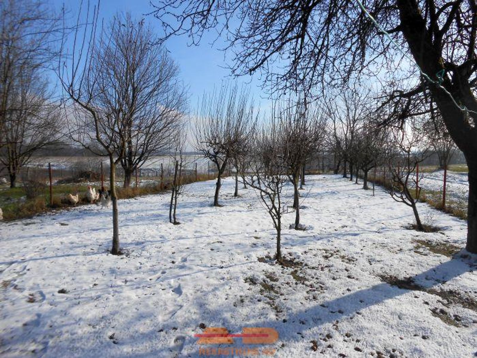 Renovirana kuća, dvorišni stan, garaže, okućnica! — fotografija 10