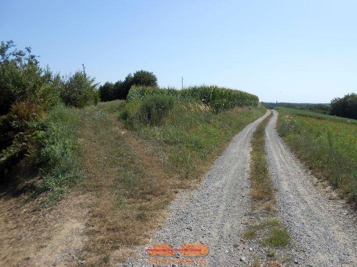 Održavana oranica, 6.830 m2, Šibovac!