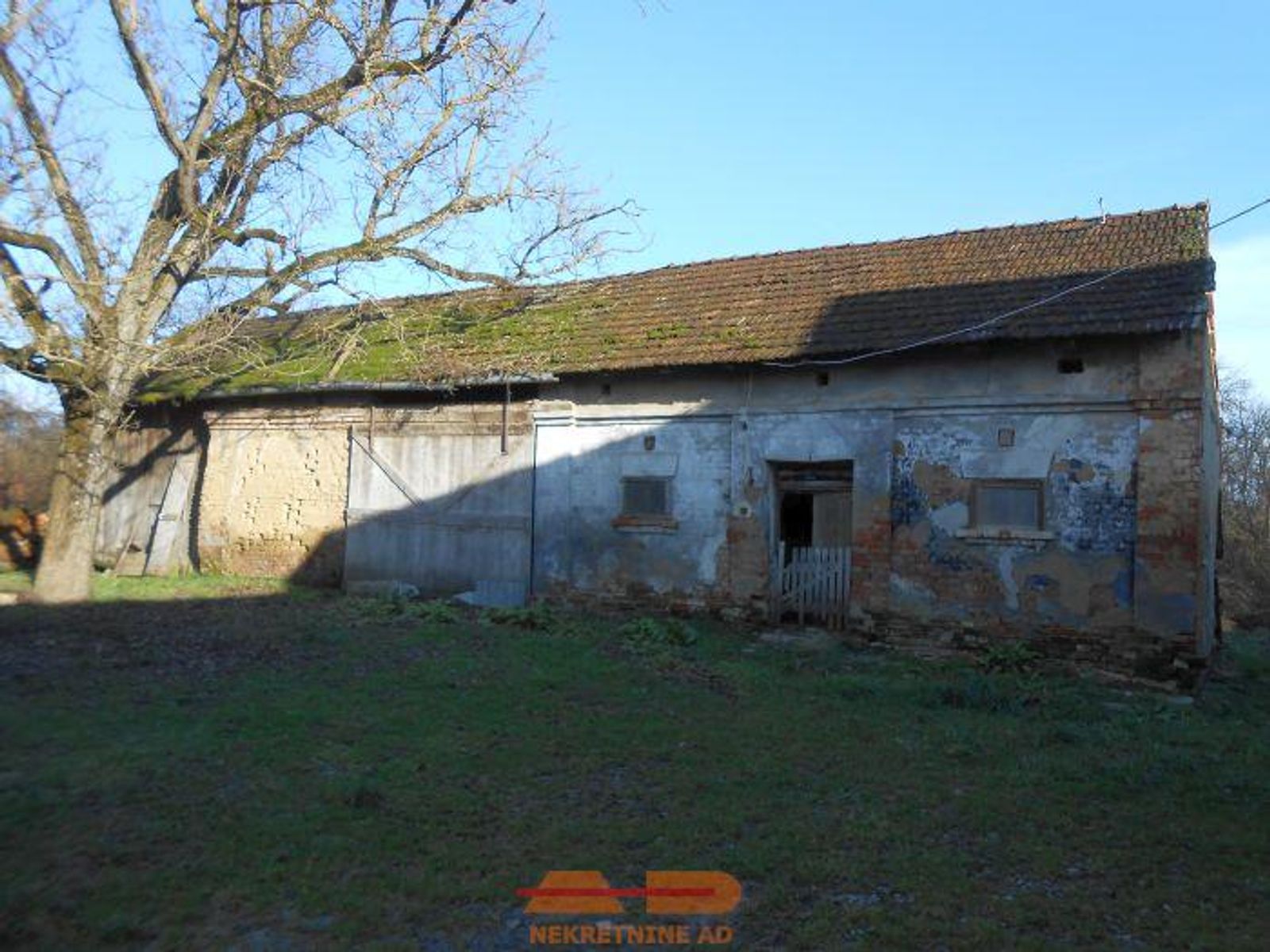 Kuća, objekti, zemljište 4.4 Ha, Blagorodovac! — fotografija 7