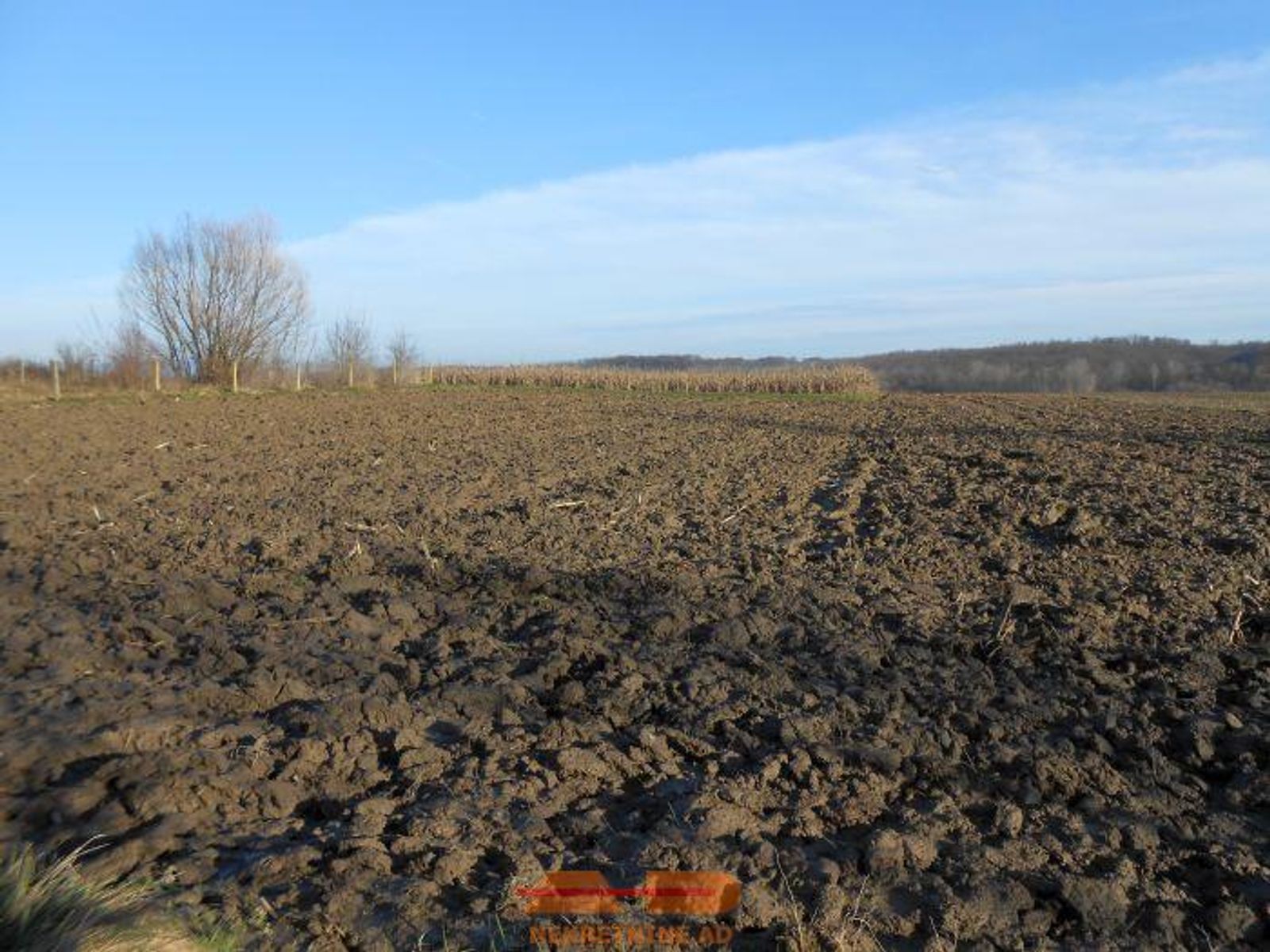 Kuća, objekti, zemljište 4.4 Ha, Blagorodovac! — fotografija 11