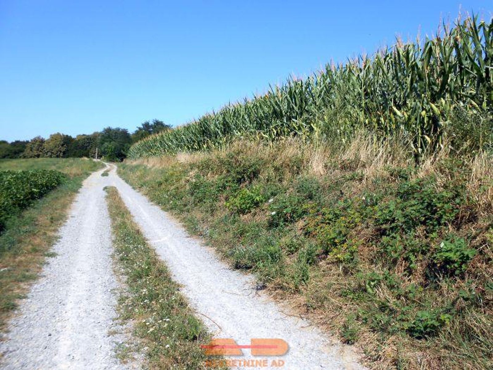 Održavana oranica, 6.830 m2, Šibovac! — fotografija 5