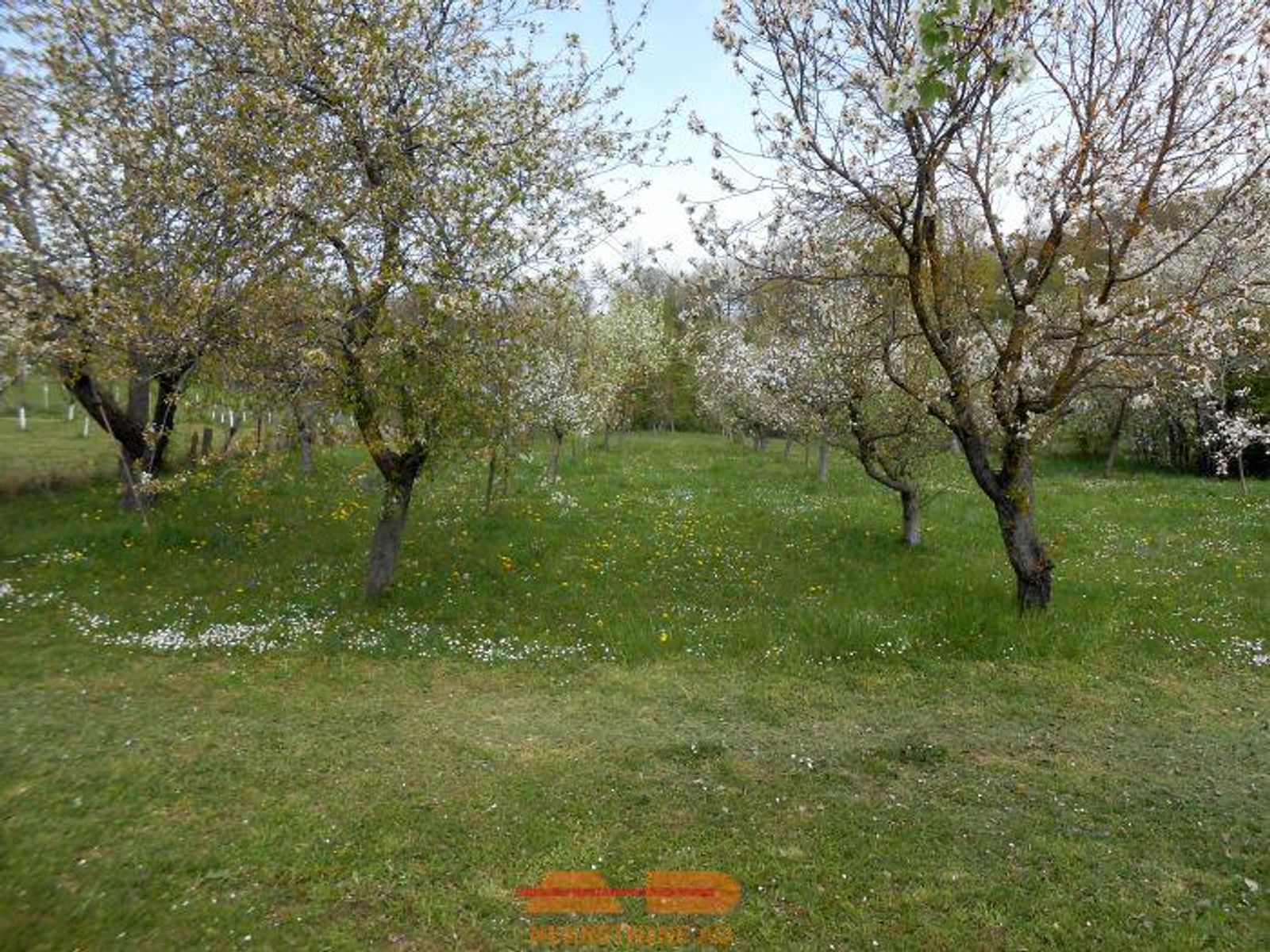 Građevinsko zemljište sa okućnicom, Vukovije! — fotografija 6