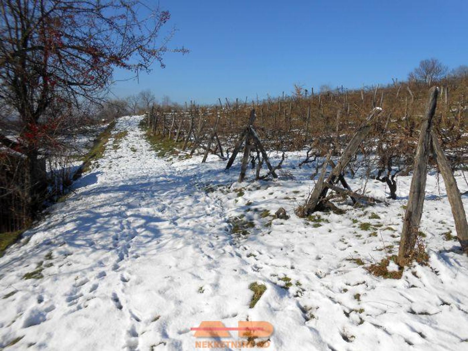 Klijet sa vinogradom, odmor za dušu! — fotografija 9