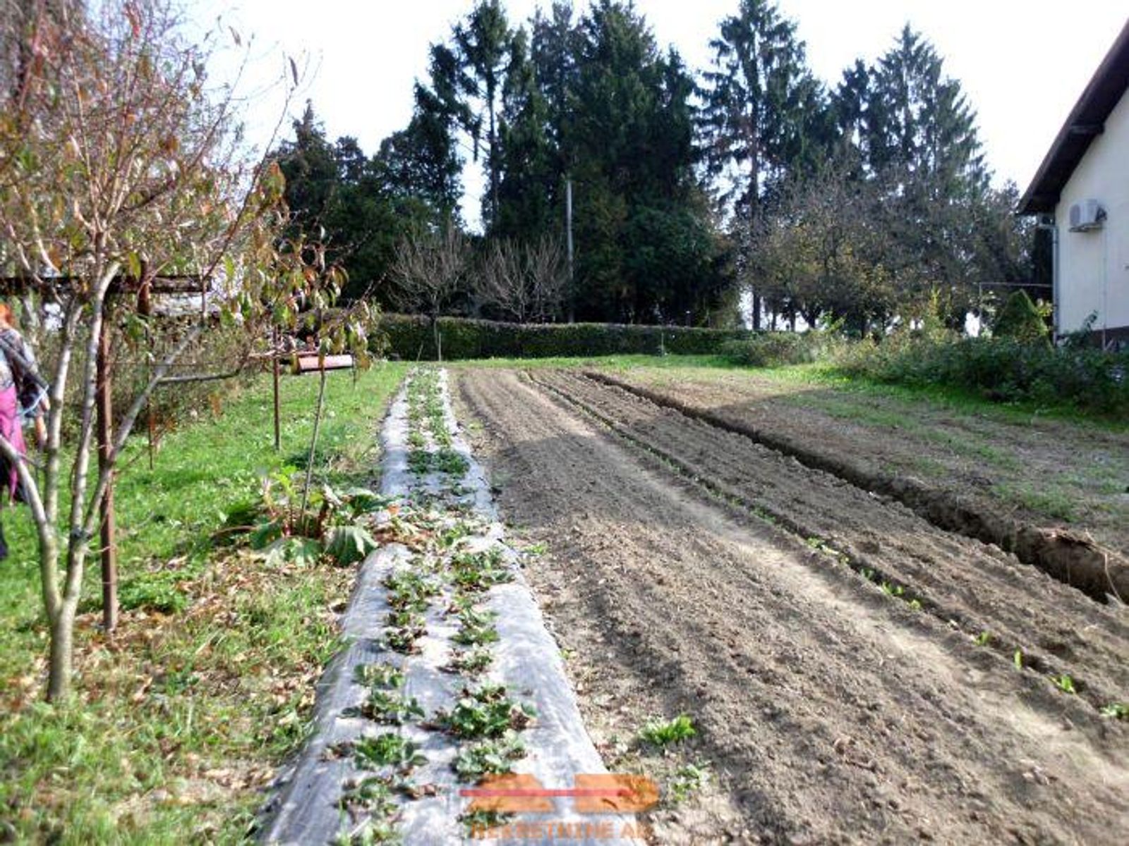 Građevinsko zemljište 1.293 m2, D. Daruvar! — fotografija 3