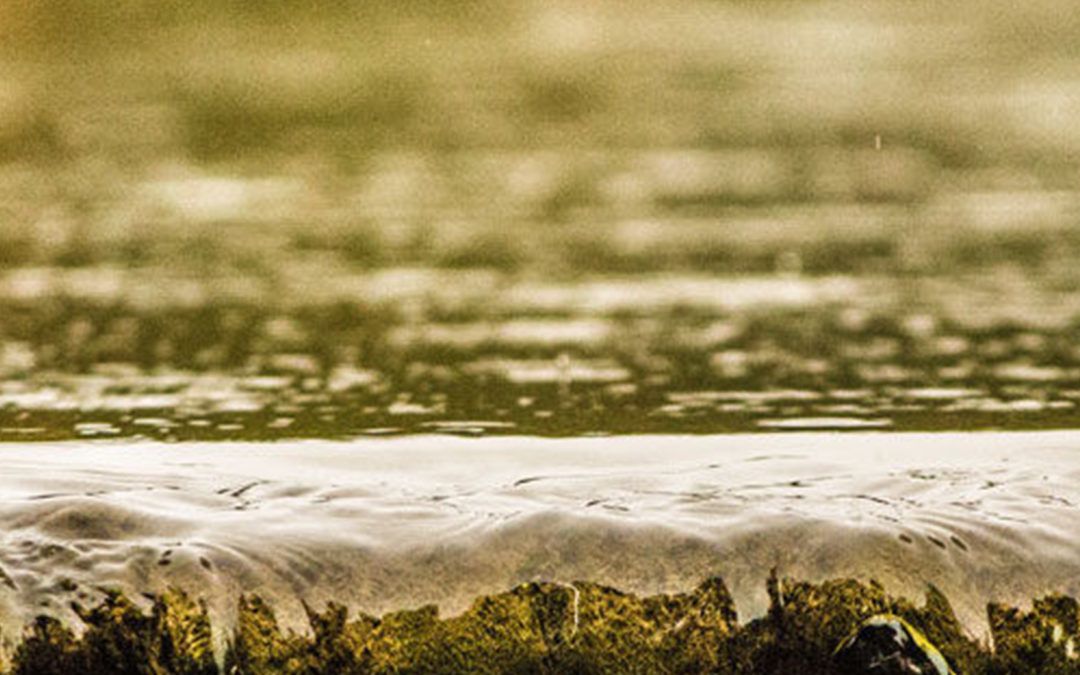 Rain Harvesting & Water Security in Urban Areas