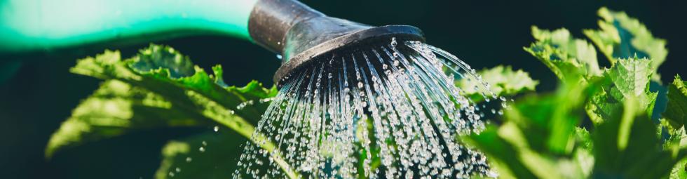 Our Main Uses Of Water