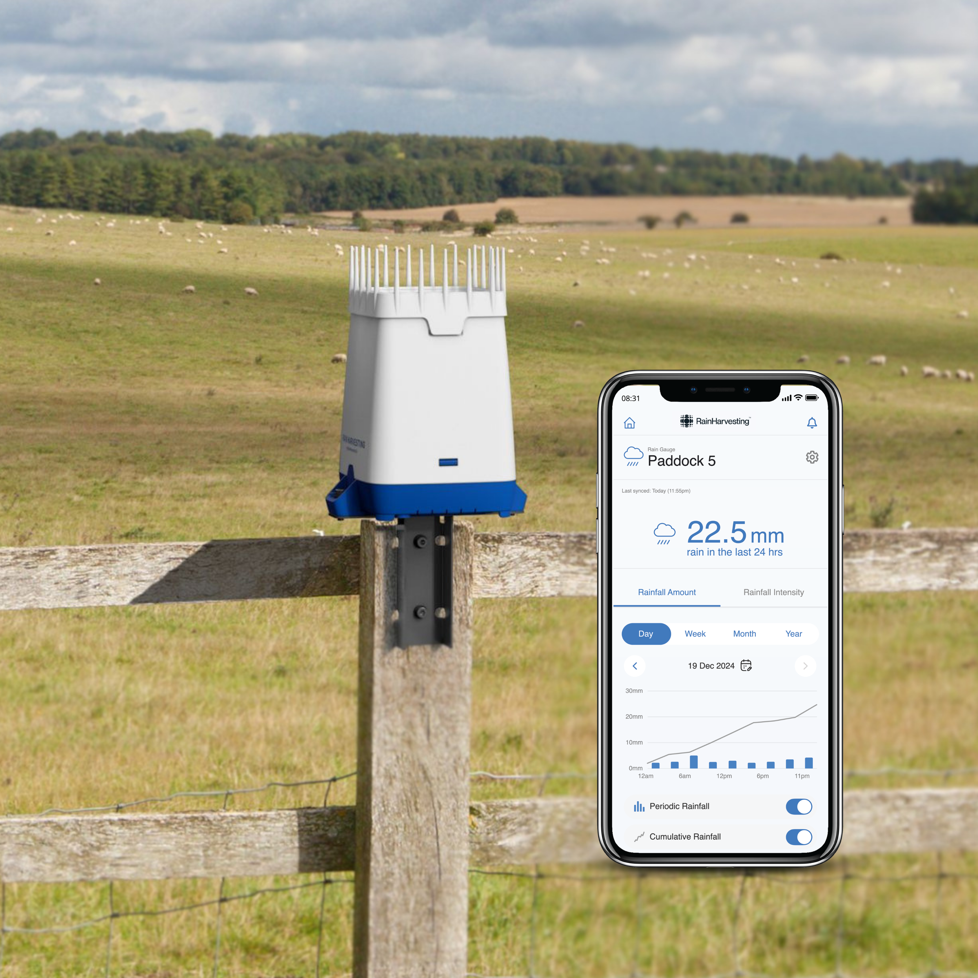 Rain Gauge