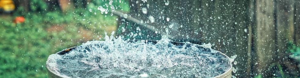 Rainwater Harvesting: A Beginner's Guide