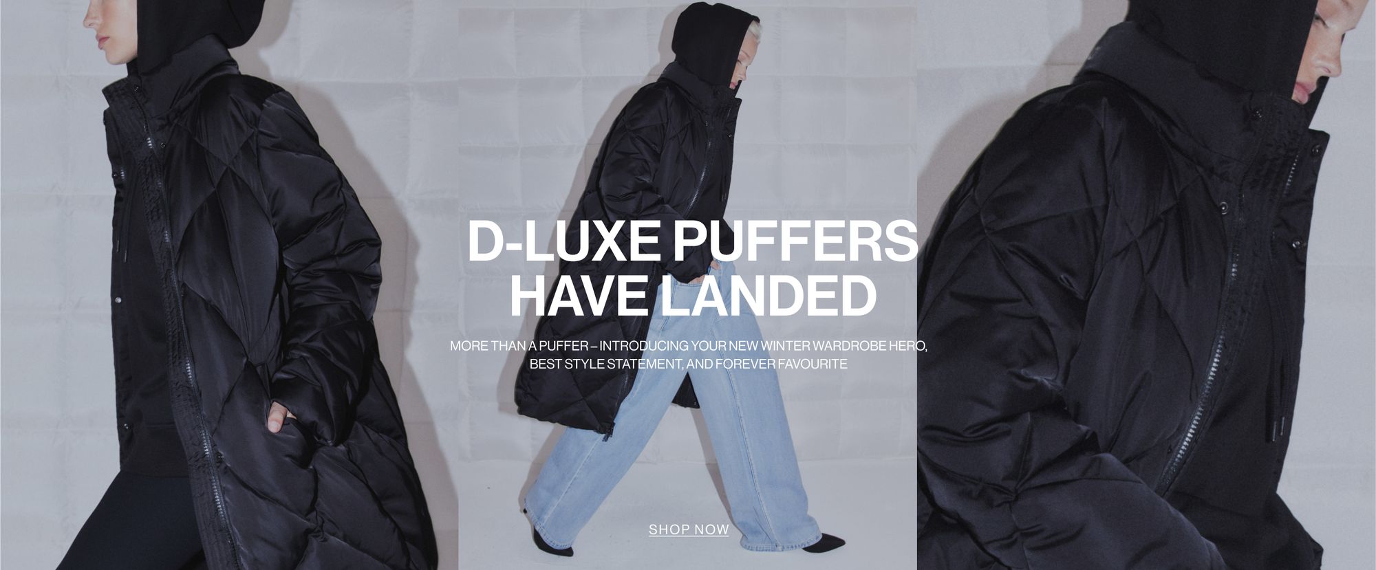  D-LUXE Basics Collections