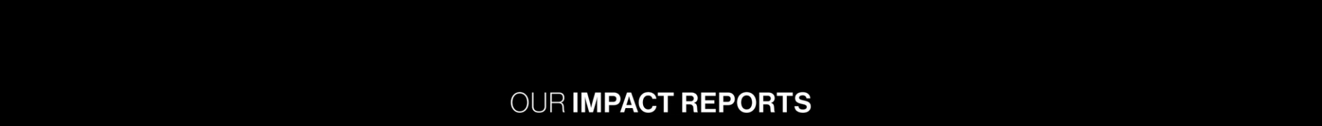 Our Impact Report