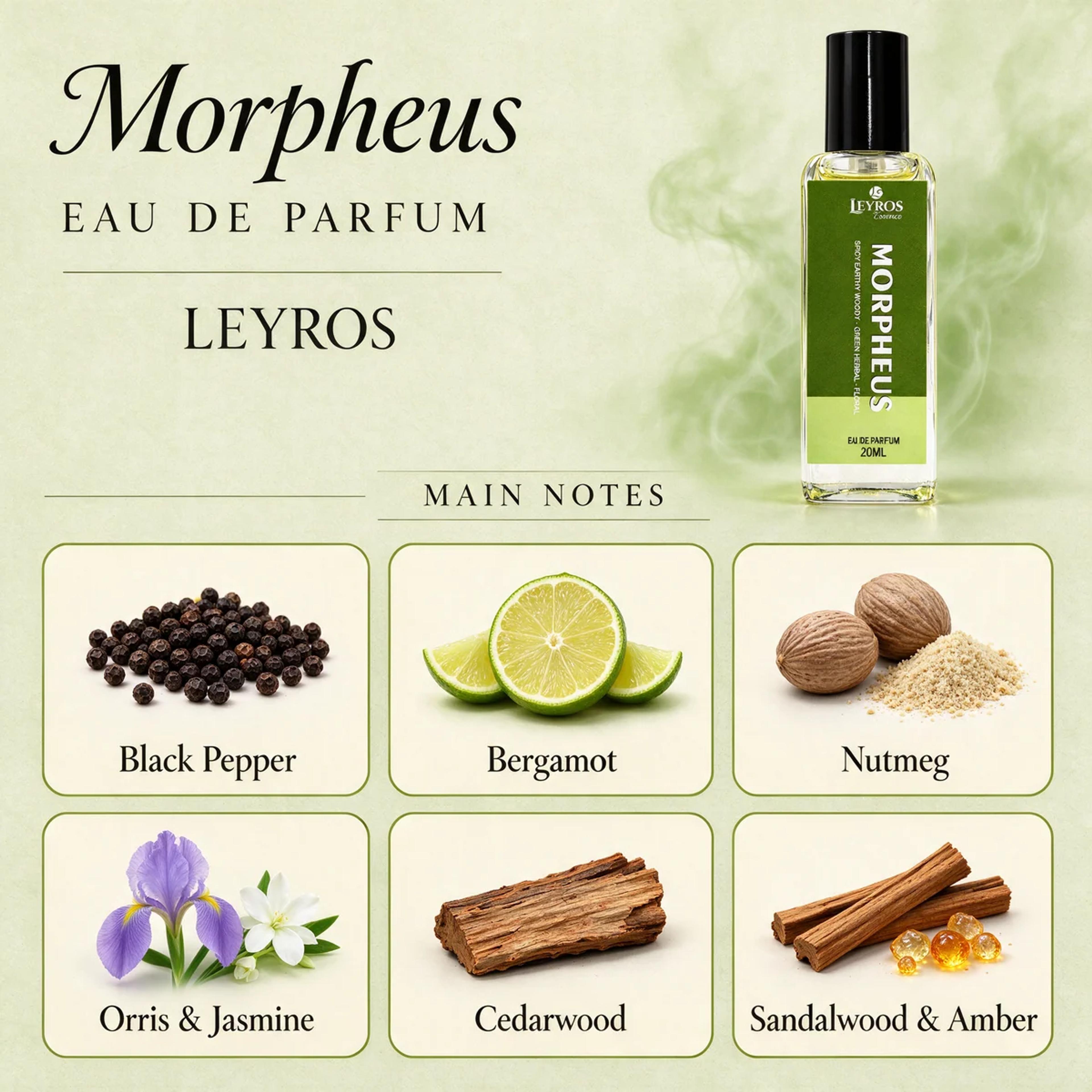 Morpheus Eau de Parfum 20ml | Spicy, Earthy & Woody | Green Herbal Perfume for Men product image 4
