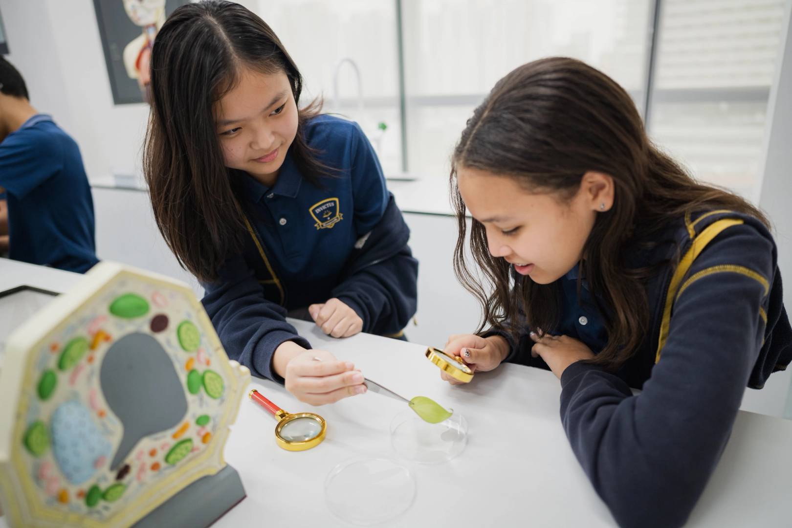 Secondary students at Invictus International School examining a leaf with magnifying glasses during a hands-on biology lesson as part of the Cambridge Lower Secondary science curriculum.