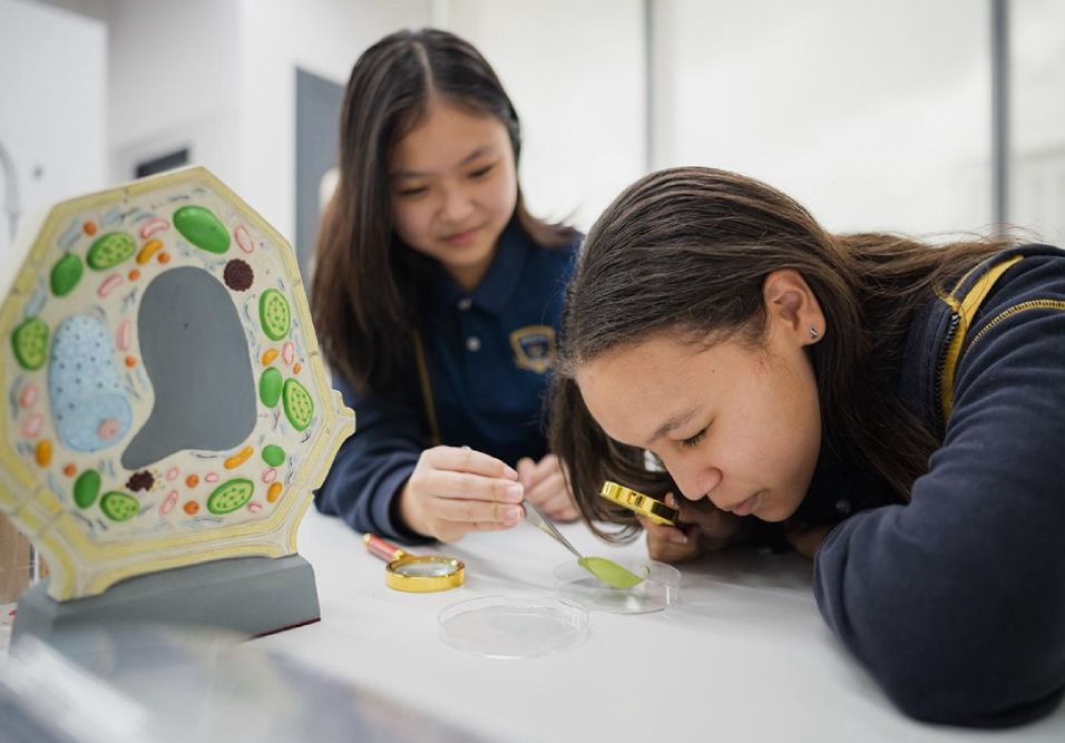 Why Learning by Doing Is More Effective Than Memorising​​​​‌﻿‍﻿​‍​‍‌‍﻿﻿‌﻿​‍‌‍‍‌‌‍‌﻿‌‍‍‌‌‍﻿‍​‍​‍​﻿‍‍​‍​‍‌﻿​﻿‌‍​‌‌‍﻿‍‌‍‍‌‌﻿‌​‌﻿‍‌​‍﻿‍‌‍‍‌‌‍﻿﻿​‍​‍​‍﻿​​‍​‍‌‍‍​‌﻿​‍‌‍‌‌‌‍‌‍​‍​‍​﻿‍‍​‍​‍​‍﻿﻿‌﻿​﻿‌﻿‌​‌﻿‌‌‌‍‌​‌‍‍‌‌‍﻿﻿​‍﻿﻿‌‍‍‌‌‍﻿‍‌﻿‌​‌‍‌‌‌‍﻿‍‌﻿‌​​‍﻿﻿‌‍‌‌‌‍‌​‌‍‍‌‌﻿‌​​‍﻿﻿‌‍﻿‌‌‍﻿﻿‌‍‌​‌‍‌‌​﻿﻿‌‌﻿​​‌﻿​‍‌‍‌‌‌﻿​﻿‌‍‌‌‌‍﻿‍‌﻿‌​‌‍​‌‌﻿‌​‌‍‍‌‌‍﻿﻿‌‍﻿‍​﻿‍﻿‌‍‍‌‌‍‌​​﻿﻿‌‌‍​﻿‌‍‌​​﻿​​​﻿​‍‌‍‌‍​﻿‌‍‌‍‌‍​﻿‌‌​‍﻿‌​﻿‌​​﻿‍‌‌‍‌​​﻿​​​‍﻿‌​﻿‌​‌‍‌‍‌‍‌‌‌‍​﻿​‍﻿‌‌‍​‌‌‍​‌‌‍​‍‌‍‌‌​‍﻿‌​﻿​​‌‍​‌​﻿‌‌‌‍‌​​﻿​‍‌‍​‍​﻿‌‌‌‍​﻿‌‍​﻿​﻿‍‌​﻿‌‌​﻿‌​​﻿‍﻿‌﻿‌​‌﻿‍‌‌﻿​​‌‍‌‌​﻿﻿‌‌‍﻿‍‌‍‌‌‌﻿‌﻿‌﻿​﻿​﻿‍﻿‌﻿​​‌‍​‌‌﻿‌​‌‍‍​​﻿﻿‌‌‍​﻿‌‍﻿﻿‌﻿‌‍‌‍‌‌‌﻿​‍‌​‍‌‌‍﻿‌‌‍​‌‌‍‌﻿‌‍‌‌​‍﻿‍‌‍​‌‌‍﻿​‌﻿‌​​﻿﻿﻿‌‍​‍‌‍​‌‌﻿​﻿‌‍‌‌‌‌‌‌‌﻿​‍‌‍﻿​​﻿﻿‌​‍‌‌​﻿​‍‌​‌‍‌﻿​﻿‌﻿‌​‌﻿‌‌‌‍‌​‌‍‍‌‌‍﻿﻿​‍‌‍‌‍‍‌‌‍‌​​﻿﻿‌‌‍​﻿‌‍‌​​﻿​​​﻿​‍‌‍‌‍​﻿‌‍‌‍‌‍​﻿‌‌​‍﻿‌​﻿‌​​﻿‍‌‌‍‌​​﻿​​​‍﻿‌​﻿‌​‌‍‌‍‌‍‌‌‌‍​﻿​‍﻿‌‌‍​‌‌‍​‌‌‍​‍‌‍‌‌​‍﻿‌​﻿​​‌‍​‌​﻿‌‌‌‍‌​​﻿​‍‌‍​‍​﻿‌‌‌‍​﻿‌‍​﻿​﻿‍‌​﻿‌‌​﻿‌​​‍‌‍‌﻿‌​‌﻿‍‌‌﻿​​‌‍‌‌​﻿﻿‌‌‍﻿‍‌‍‌‌‌﻿‌﻿‌﻿​﻿​‍‌‍‌﻿​​‌‍​‌‌﻿‌​‌‍‍​​﻿﻿‌‌‍​﻿‌‍﻿﻿‌﻿‌‍‌‍‌‌‌﻿​‍‌​‍‌‌‍﻿‌‌‍​‌‌‍‌﻿‌‍‌‌​‍﻿‍‌‍​‌‌‍﻿​‌﻿‌​​‍‌‍‌﻿​​‌‍‌‌‌﻿​‍‌﻿​﻿‌﻿​​‌‍‌‌‌‍​﻿‌﻿‌​‌‍‍‌‌﻿‌‍‌‍‌‌​﻿﻿‌‌﻿​​‌﻿‌‌‌‍​‍‌‍﻿​‌‍‍‌‌﻿​﻿‌‍‍​‌‍‌‌‌‍‌​​‍​‍‌﻿﻿‌