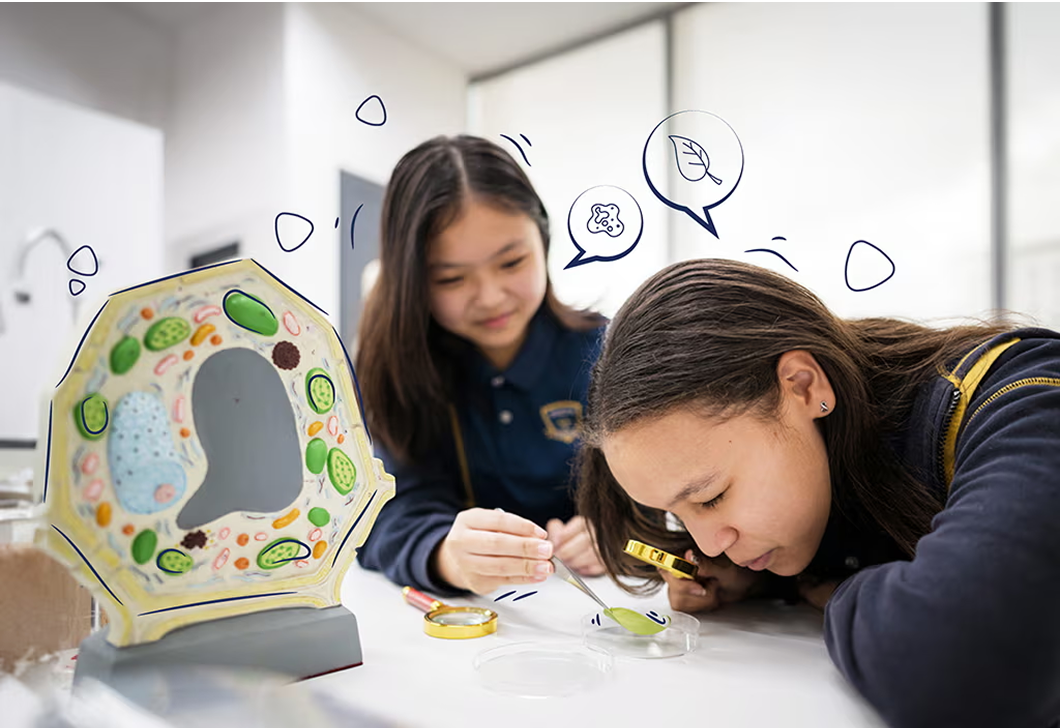 Two Invictus students using magnifying glasses to examine plant material in a science classroom, with a colourful model of a plant cell in the foreground.