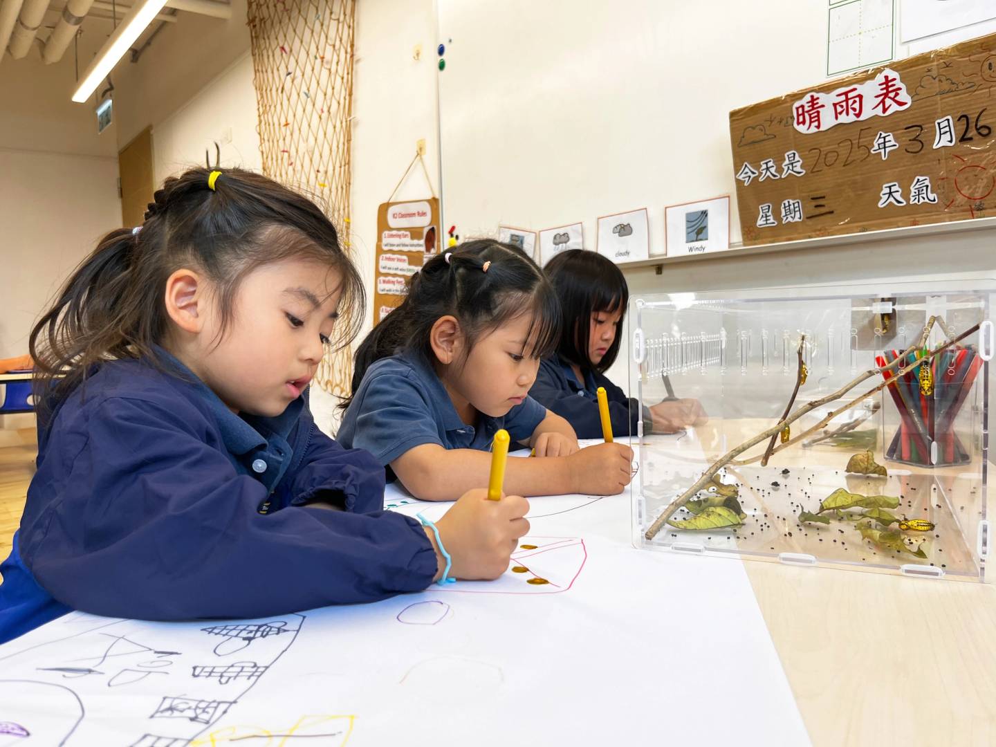 Young students playing and balancing on a wooden beam.