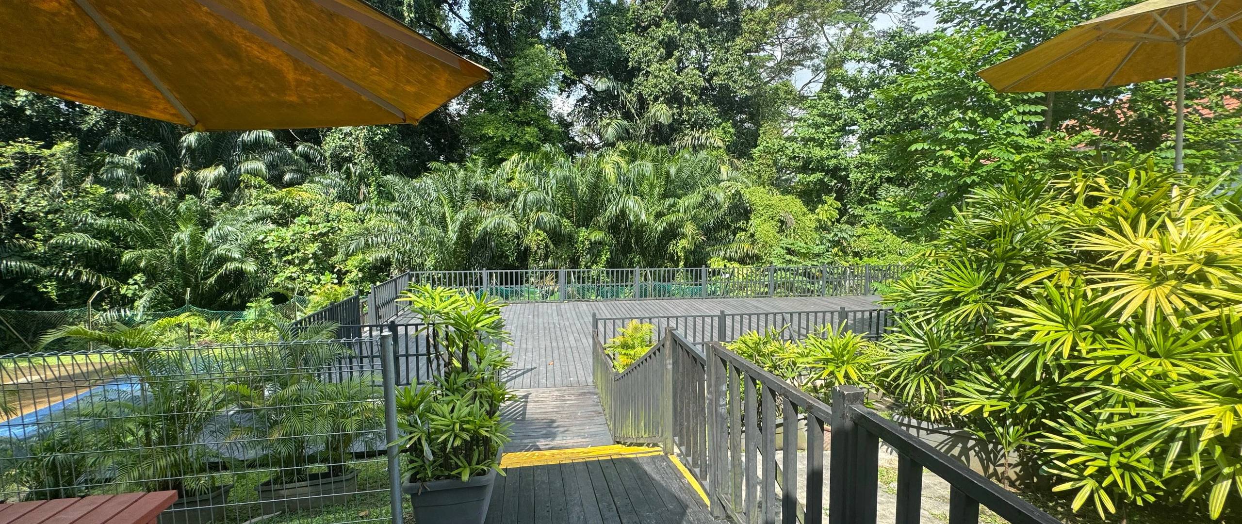 Shaded outdoor deck with lush greenery surrounding school walkway.