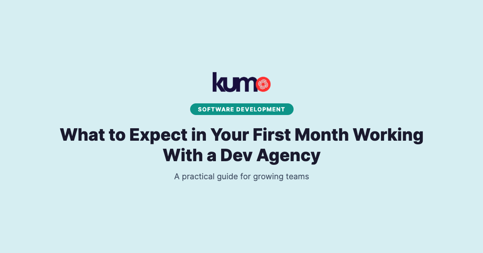 What to Expect in Your First Month Working With a Dev Agency blog banner