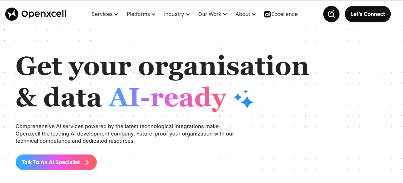 OpenXcell - Custom AI Solutions