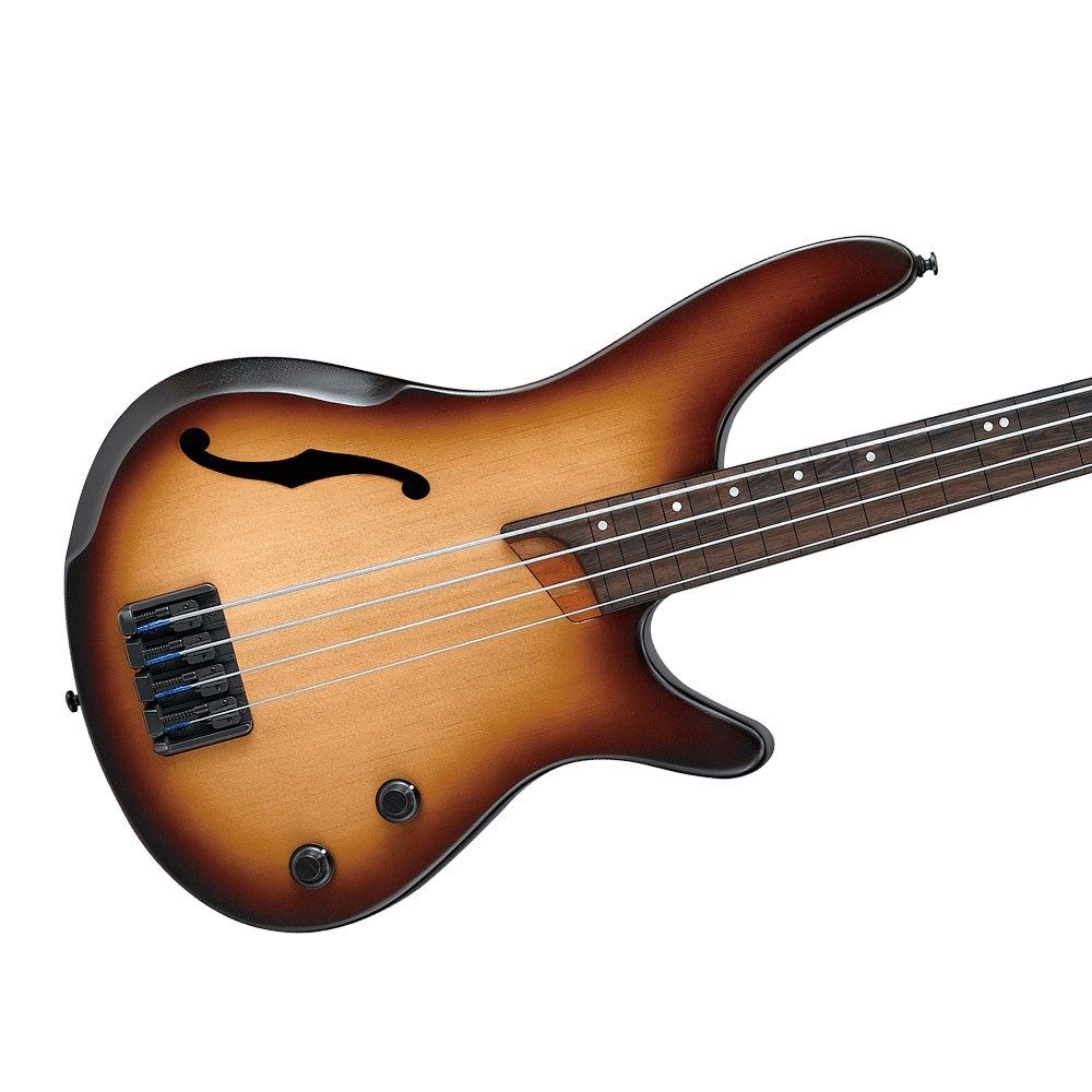 Ibanez SRH500F NNF Fretless Electric Bass (Natural Browned Burst Flat)