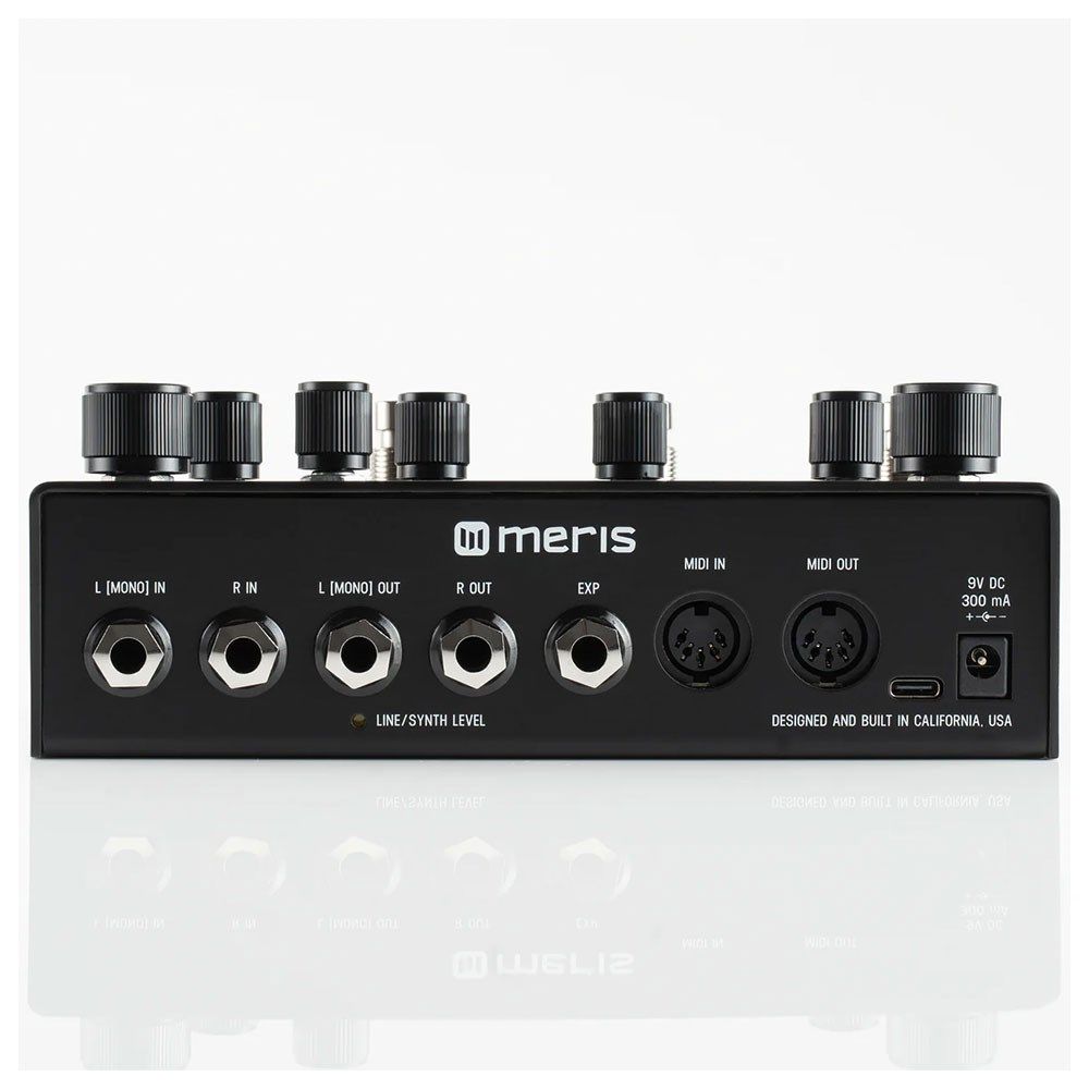 Meris LVX Modular Delay Pedal (10th Anniversary Limited Edition