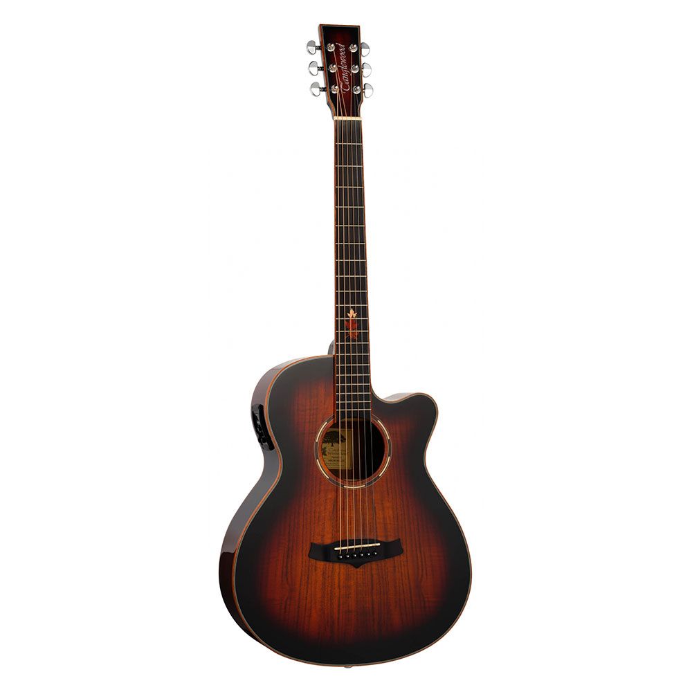 tanglewood アコースティックギター Tanglewood TW2T Mahogany Travel Size Acoustic Guitar : Amazon.ca