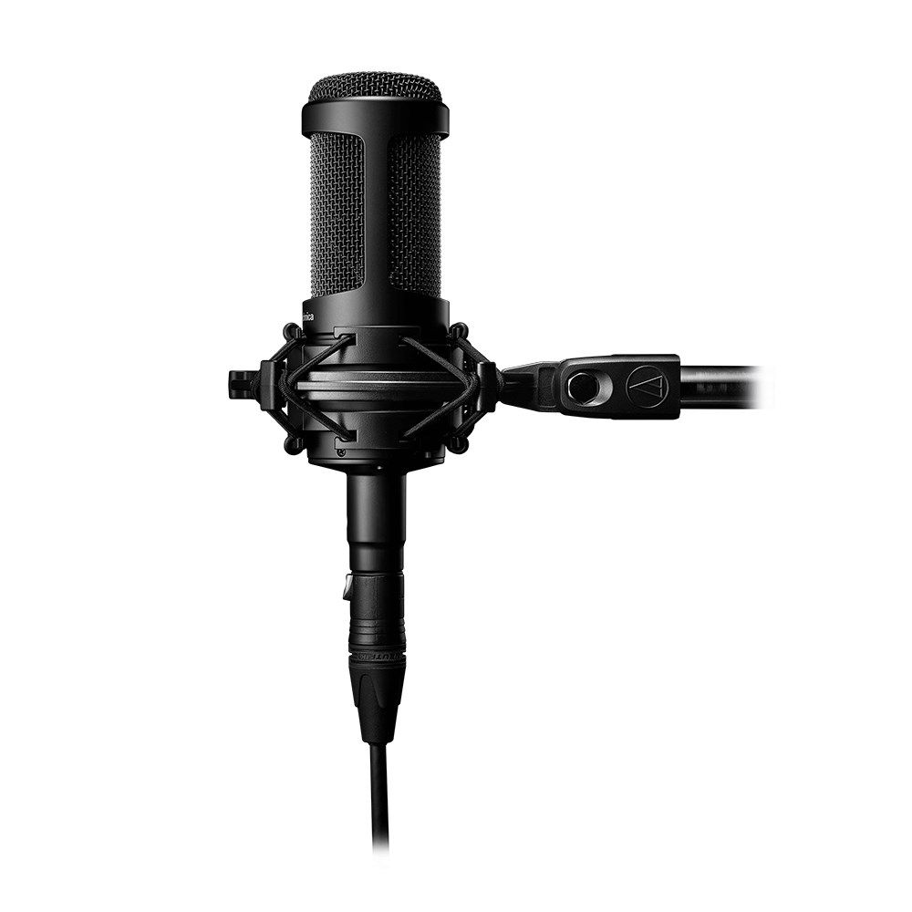 Audio Technica AT2050 Large Diaphragm Multi-Pattern Condenser w