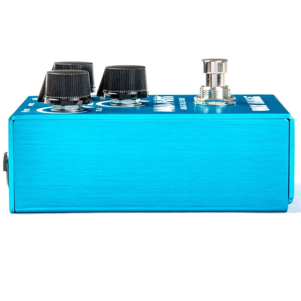 Way Huge WM71 Smalls Aqua-Puss Analog Delay // Mannys Music