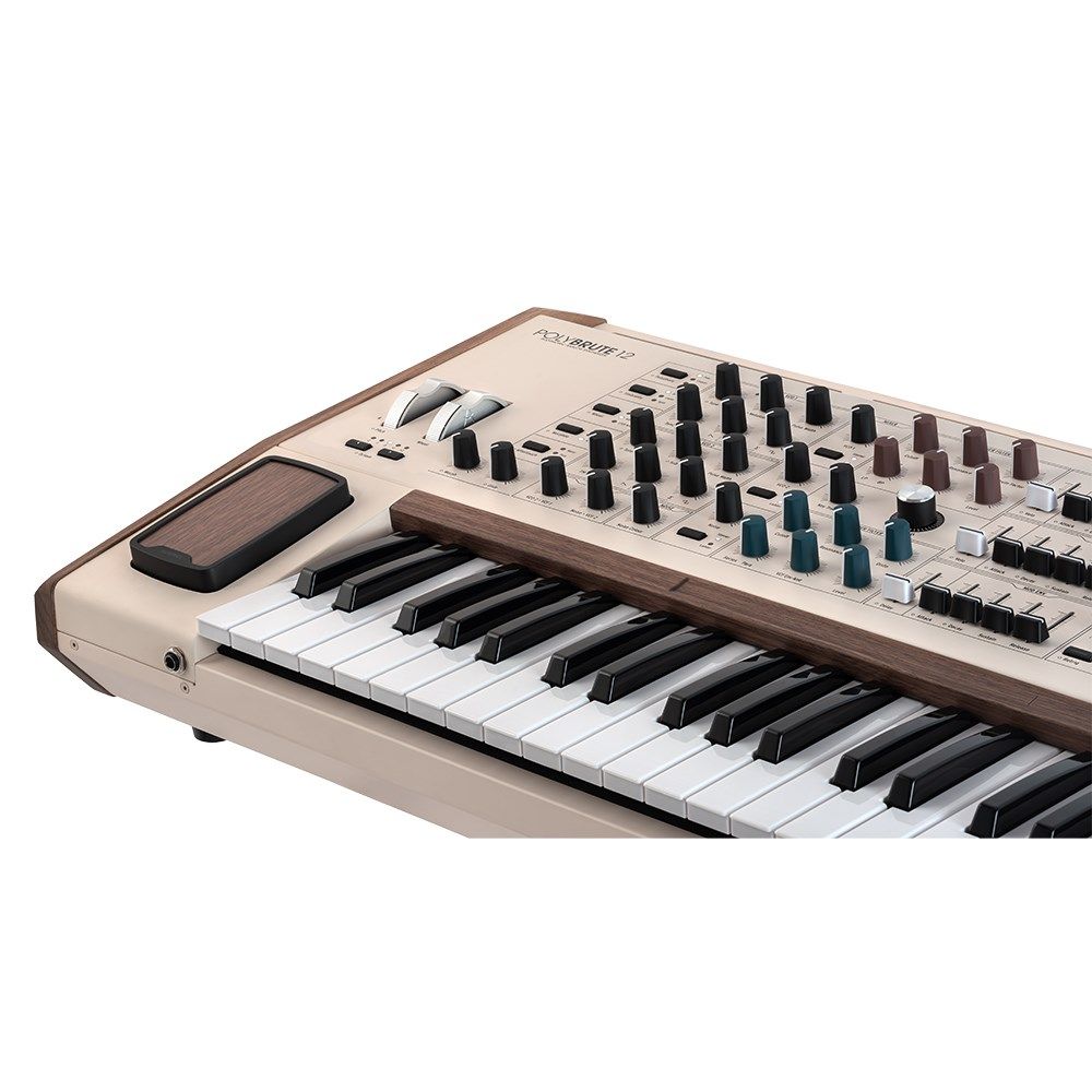 Arturia PolyBrute 12-Voice Polyphonic Analog Synthesizer | Store DJ