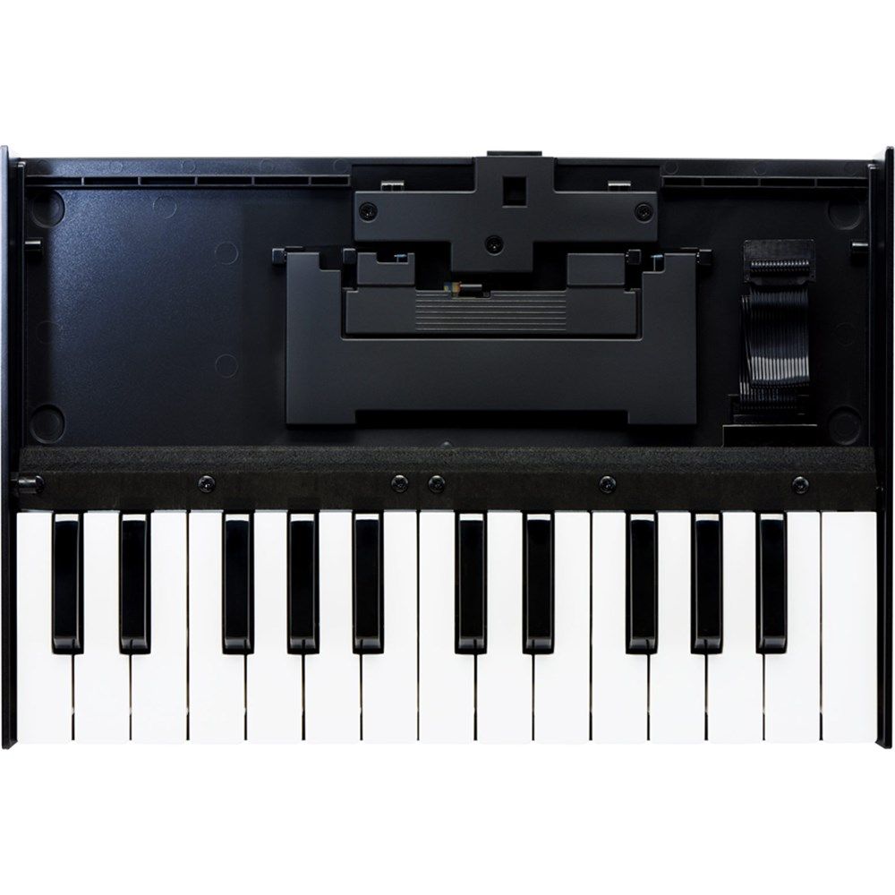Roland Boutique K25m Portable Keyboard Unit Roland Boutique K25m Portable Keyboard Unit
