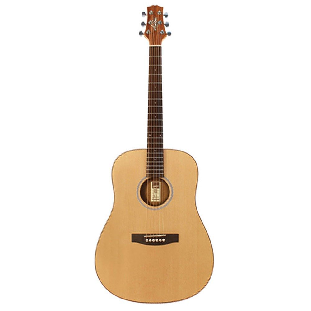 Ashton(オーストラリア)アコースティックギター Ashton(オーストラリア)アコースティックギター Ashton Guitar Collection