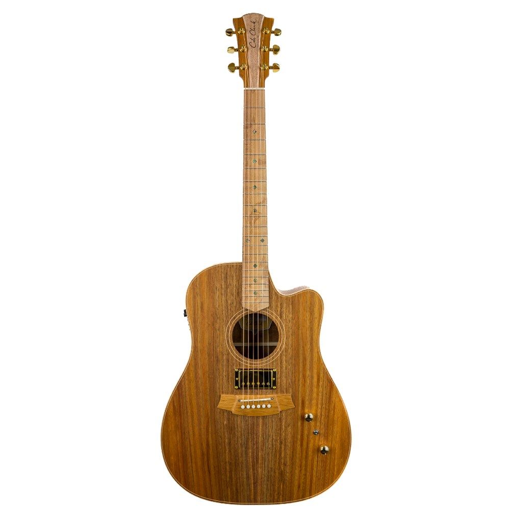 Cole Clark FL2EC-BLBL-HUM Acoustic Electric Guitar w/ Cutaway