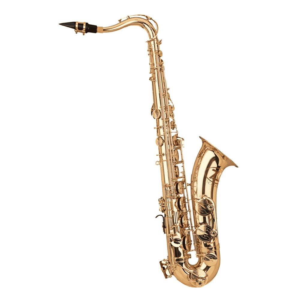 ZO Academy Bb Tenor Saxophone w/ High F# Key inc Case - Lacquered