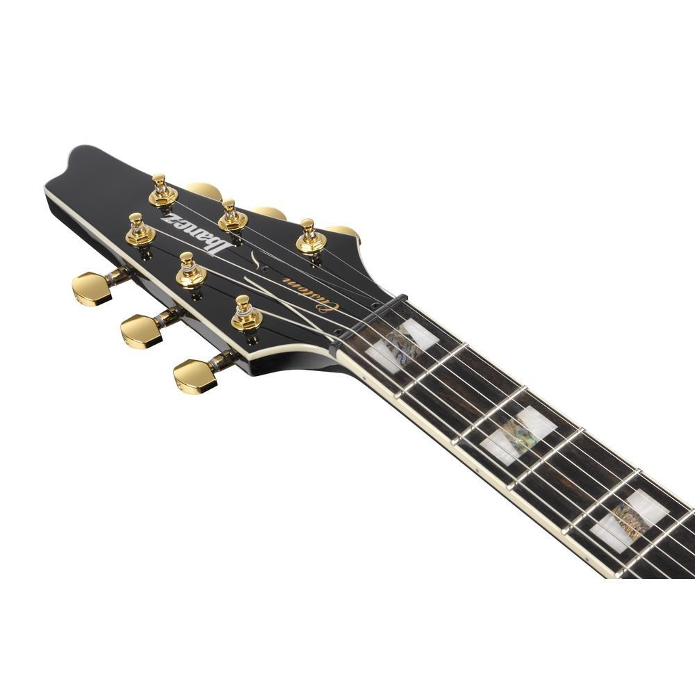 ギター Ibanez FRM350 Paul Gilbert Signature Ibanez FRM350 Paul Gilbert Signature Electric Guitar Gold Hardware